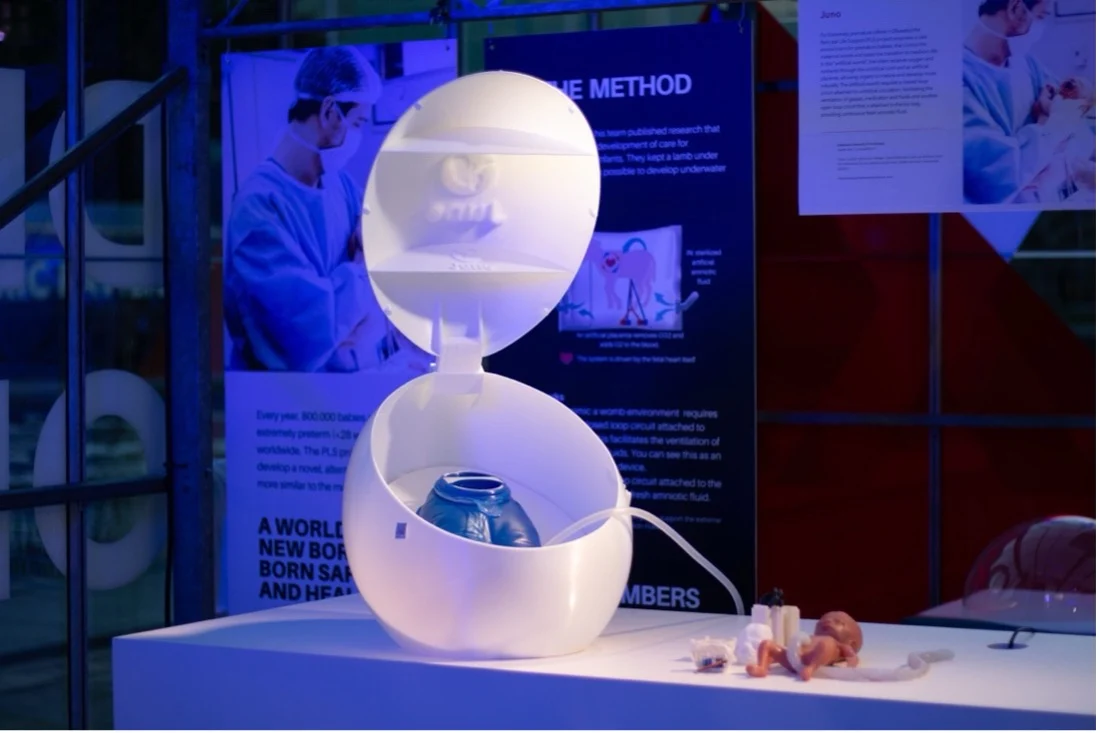 Mechanical womb prototype