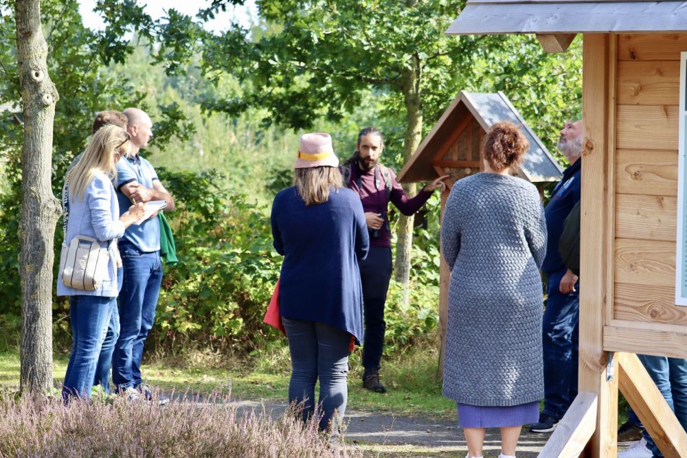 Wild break - April 2026