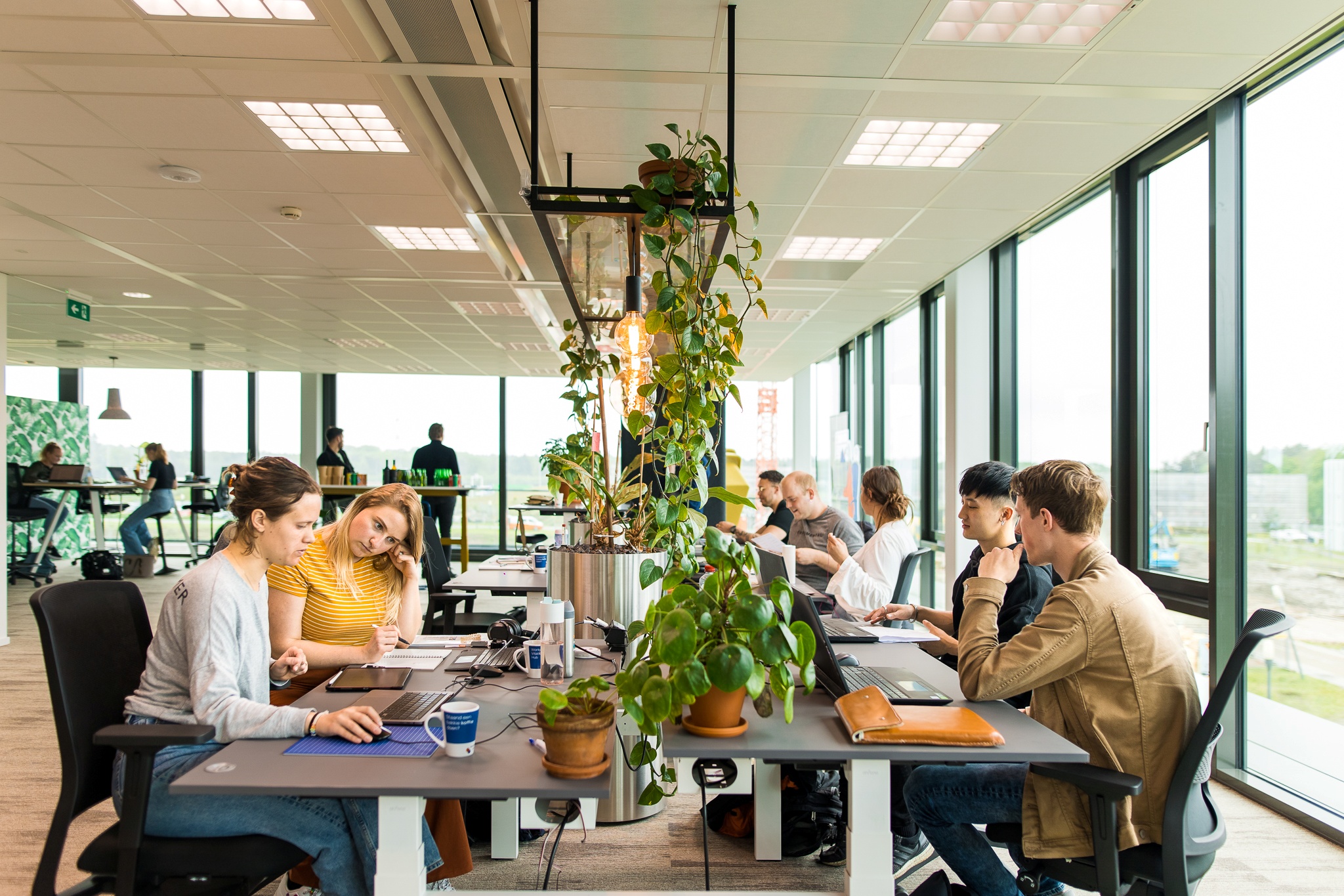 Workplace Vitality Hub