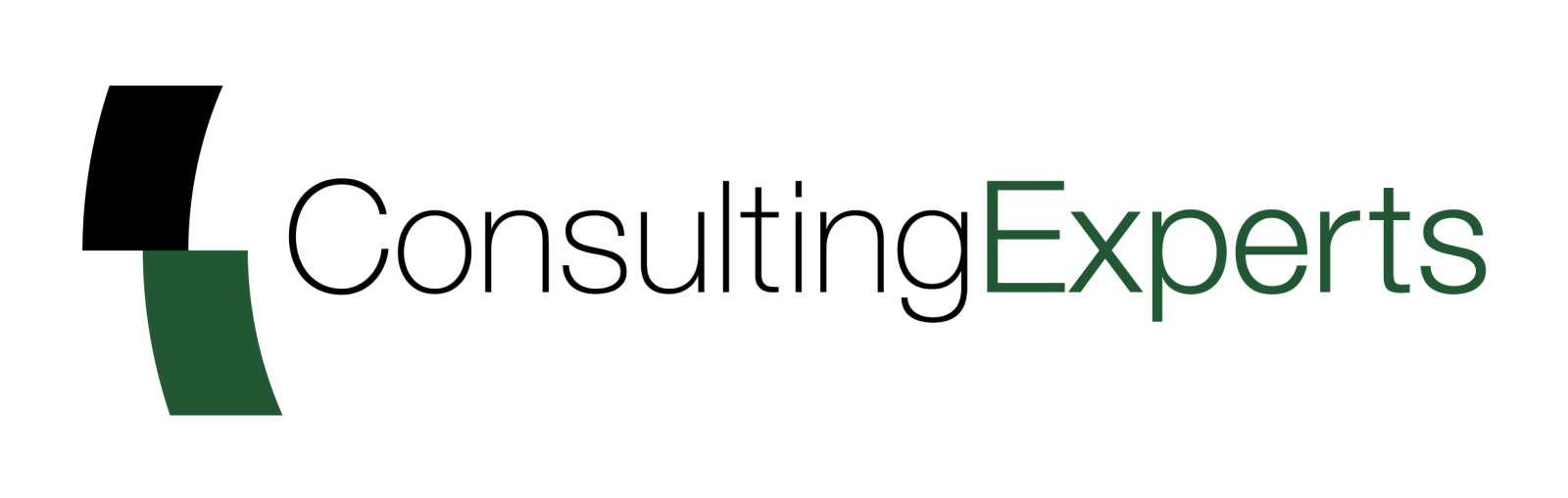 ConsultingExperts logo